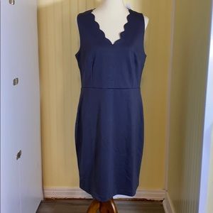 NWT Pretty Grey scallop neck Loft Dress